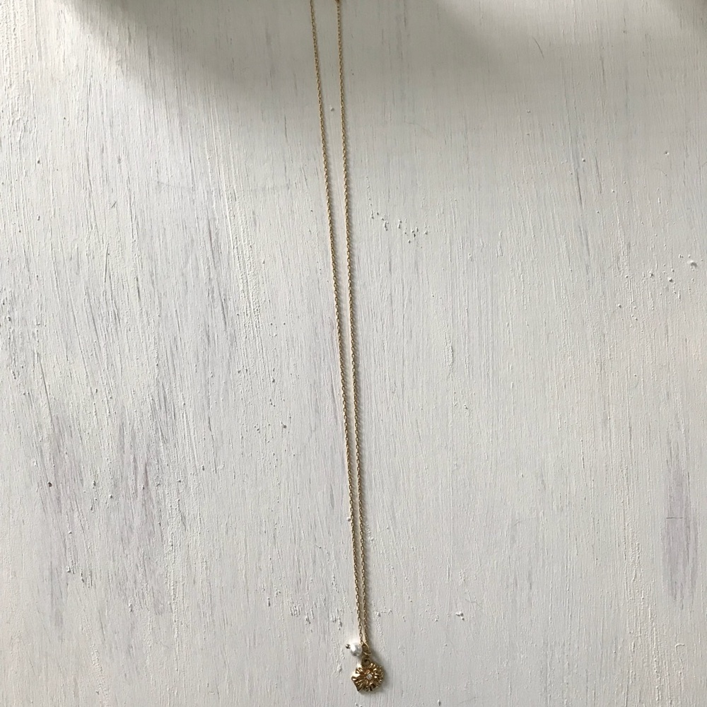 J Crew long necklace